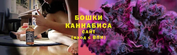 твердый Анива