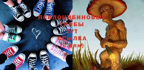 твердый Анива
