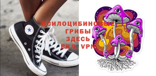 PSILOCYBIN Аксай