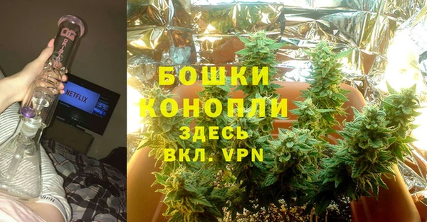 твердый Анива