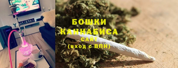 твердый Анива