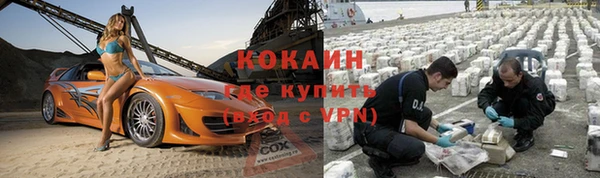 твердый Анива